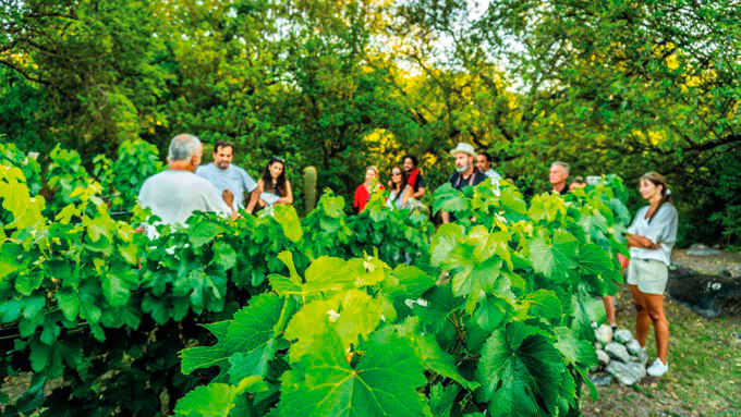 experiencia corporativa (2)